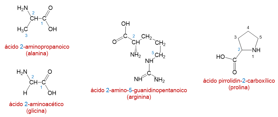 aminoac