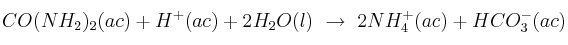 CO(NH_2)_2(ac) + H^+(ac) + 2H_2O(l)\ \to\ 2NH_4^+(ac) + HCO_3^-(ac) CO(NH_2)_2(ac) + H^+(ac) + 2H_2O(l)\ \to\ 2NH_4^+(ac) + HCO_3^-(ac)