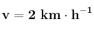 \bf v = 2\ km\cdot h^{-1}