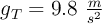 g_T = 9.8\ \textstyle{m\over s^2