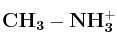 \bf CH_3-NH_3^+