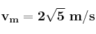 \bf v_m = 2\sqrt 5\ m/s
