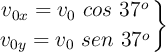 \left v_{0x} = v_0\ cos\ 37^o \atop v_{0y} = v_0\ sen\ 37^o \right \}