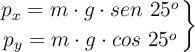 \left p_x = m\cdot g\cdot sen\ 25 ^o \atop p_y = m\cdot g\cdot cos\ 25^o \right \}