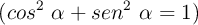 (cos^2\ \alpha + sen^2\ \alpha = 1)