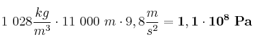1\ 028\frac{kg}{m^3}\cdot 11\ 000\ m\cdot 9,8\frac{m}{s^2} = \bf 1,1\cdot 10^{8}\ Pa