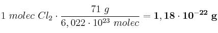 1\ molec\ Cl_2\cdot \frac{71\ g}{6,022\cdot 10^{23}\ molec} = \bf 1,18\cdot 10^{-22}\ g