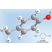 p-cresol (p-hidroxitolueno)