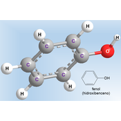 Fenol (hidroxibenceno)