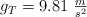 g_T = 9.81\ \textstyle{m\over s^2}