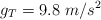 g_T = 9.8\ m/s^2
