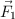 \vec F _1
