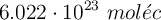 6.022\cdot 10^{23}\ mol\acute{e}c
