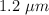 1.2\ \mu m