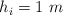h_i = 1\ m