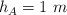 h_A = 1\ m