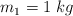 m_1  = 1\ kg