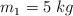 m_1  = 5\ kg