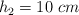 h_2 = 10\ cm
