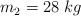 m _2= 28\ kg