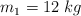 m _1 = 12\ kg