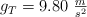 g_T = 9.80\ \textstyle{m\over s^2}