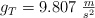 g_T = 9.807\ \textstyle{m\over s^2}